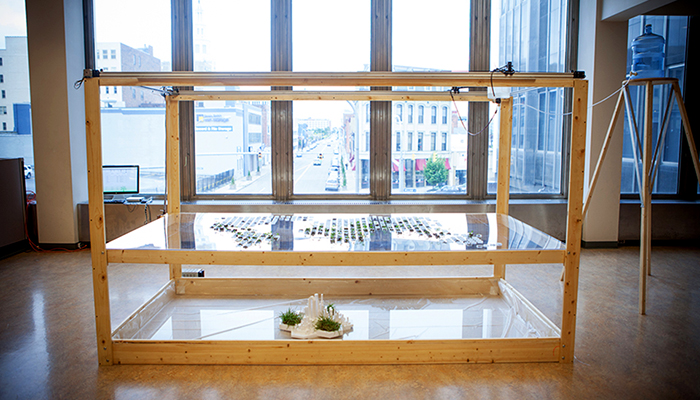 Garden of Virtual Kinship